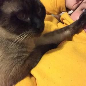 Meet your Posher, Elayne